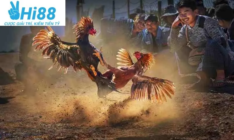 Đá Gà Casino Hi88: Cá Cược Uy Tín Hot Nhất 2025 4 Kinh Nghiệm Chơi Đá Gà Casino Hi88 Online Hiệu Quả