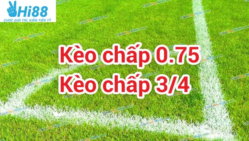 Kèo 0.75 Là Gì? Tham Gia Tại Hi88 Ngay Nào 2 Khái niệm kèo 0.75 là gì